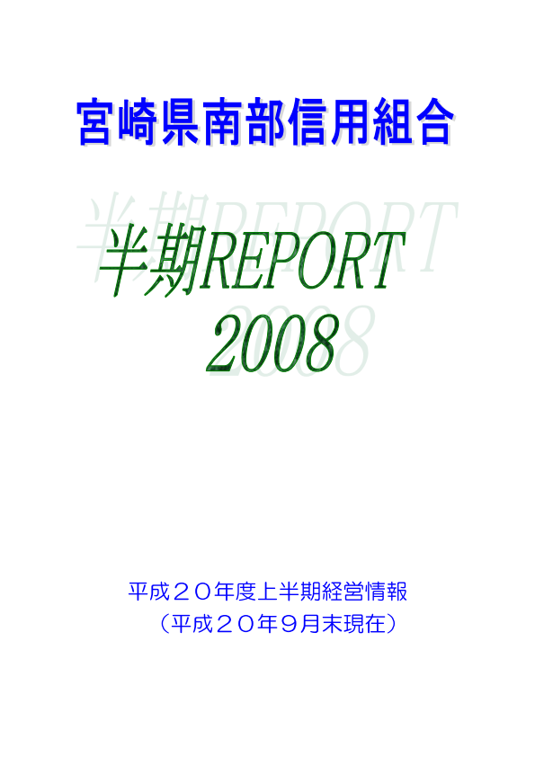 2008年版　ミニディスクロージャー